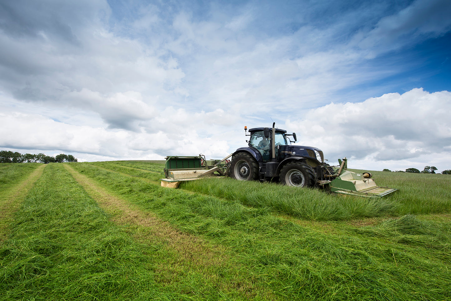 Aber HSG 2 Later Cut (105078)