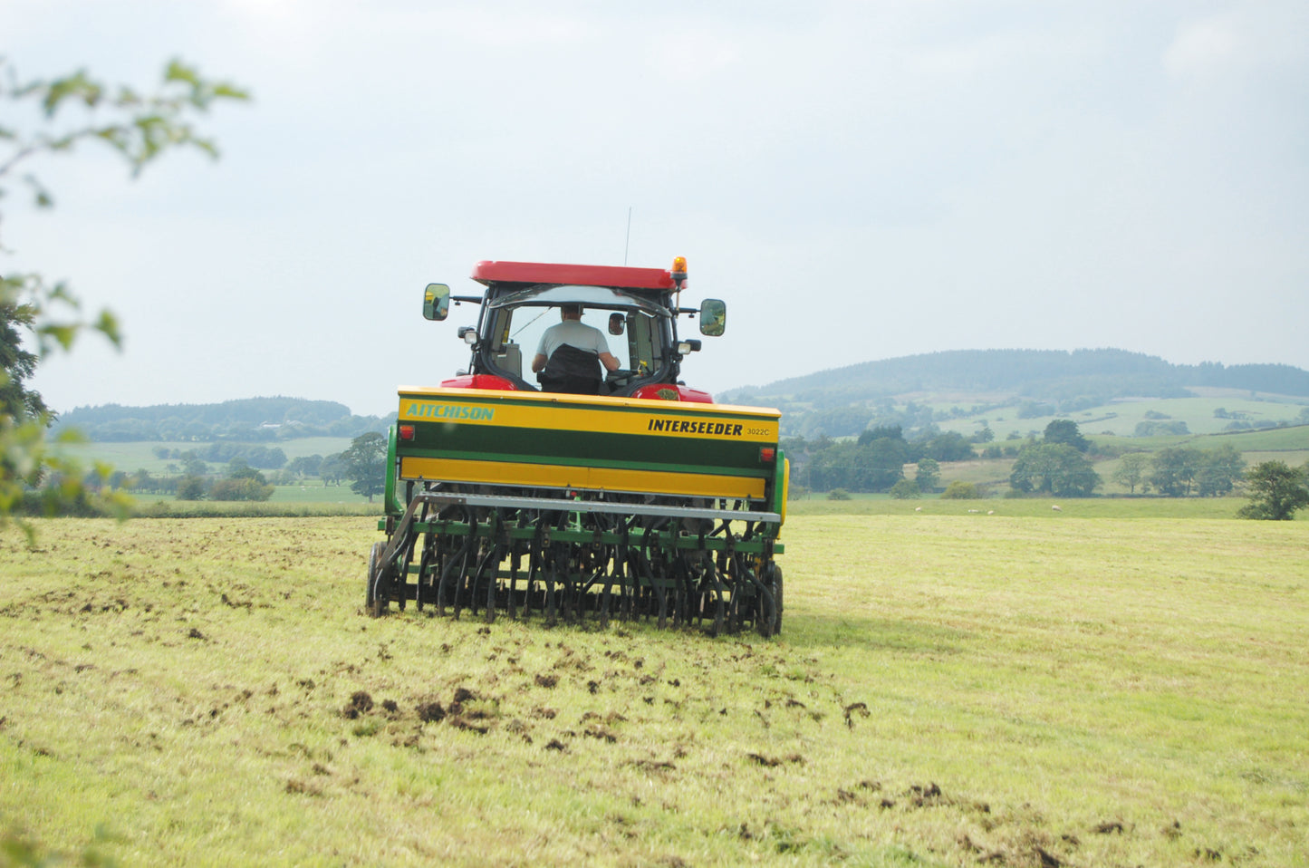 Aber HSG Short-term Overseeding (105137)