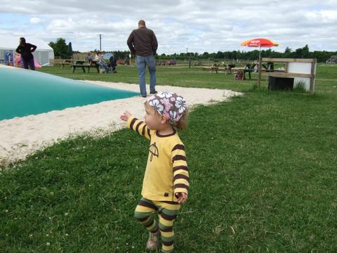 Dollar Green with Rye Grass 100kg