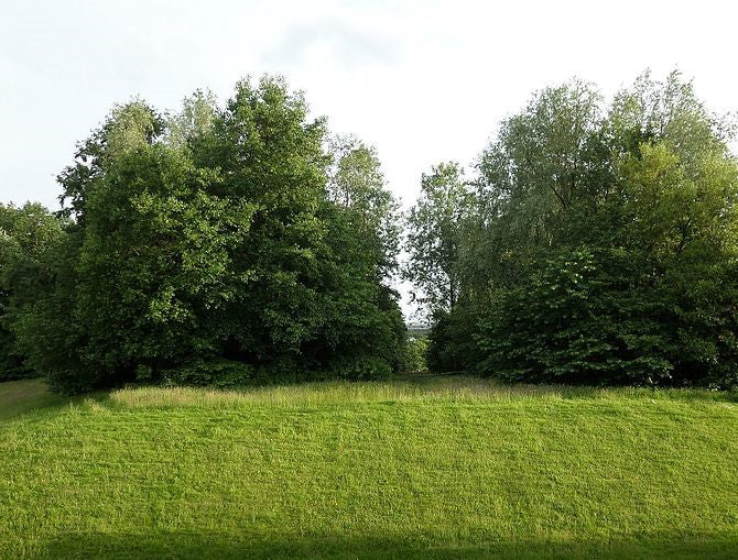 Special Verges Mix 20kg