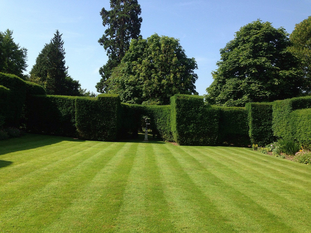 Castle Lawn - Low mow