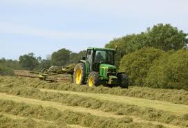 Aber Multi Species Cutting (105181)