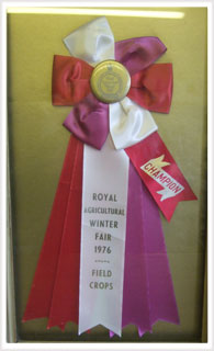 image of  World Champion Medal for grass seed