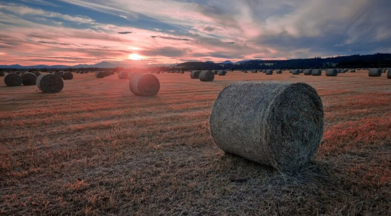 Farming in the UK snice 1735