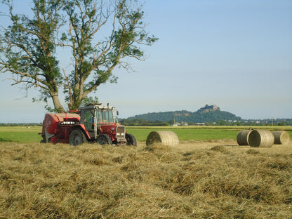 Scots Timothy Hay - Carse Hay