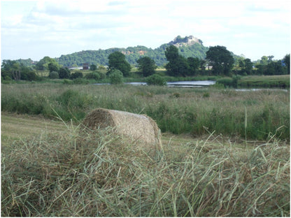 Scots Timothy Hay - Carse Hay
