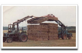 Scots Timothy Hay - Carse Hay